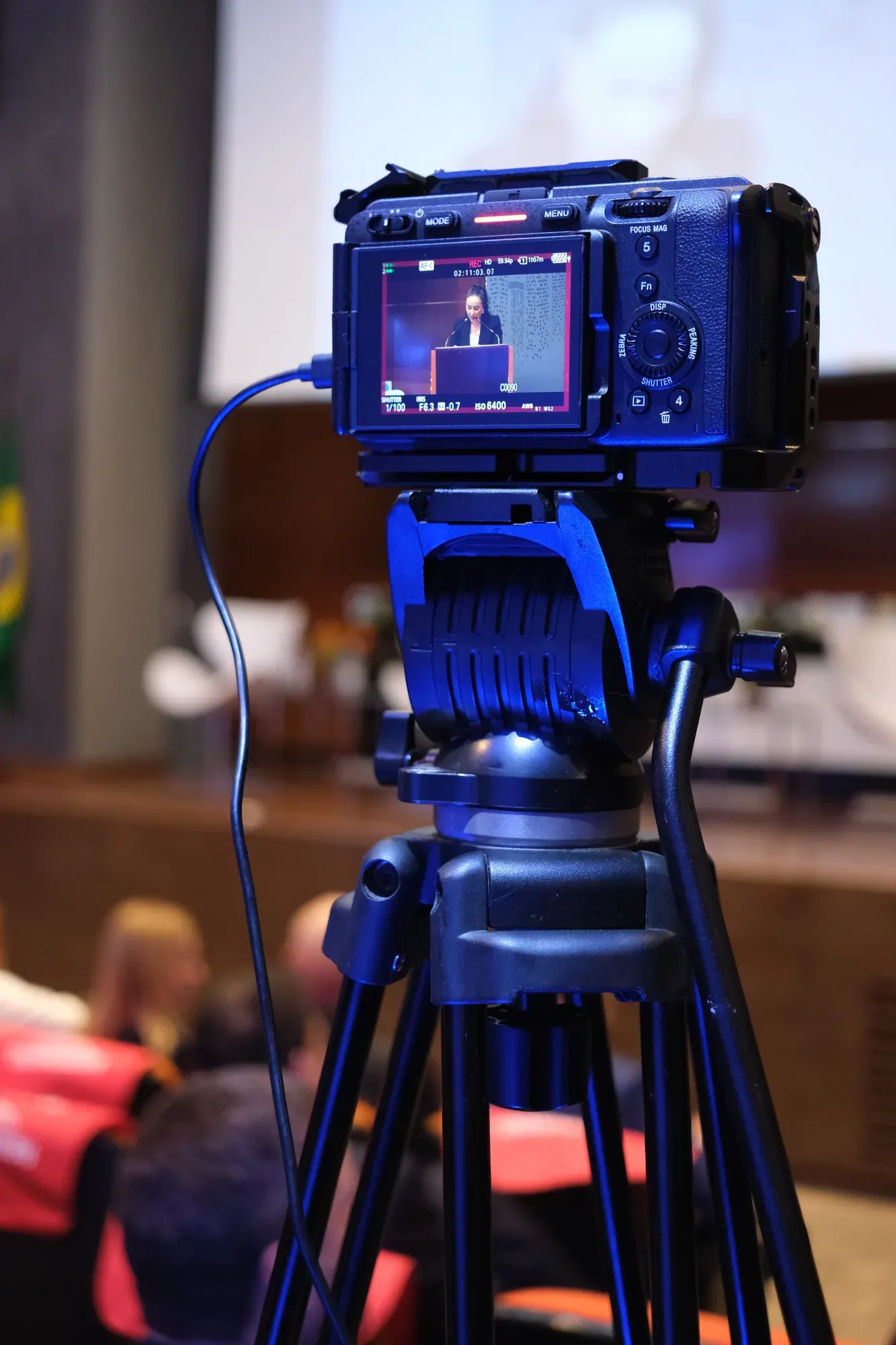 IIº CBDAS — peça do case