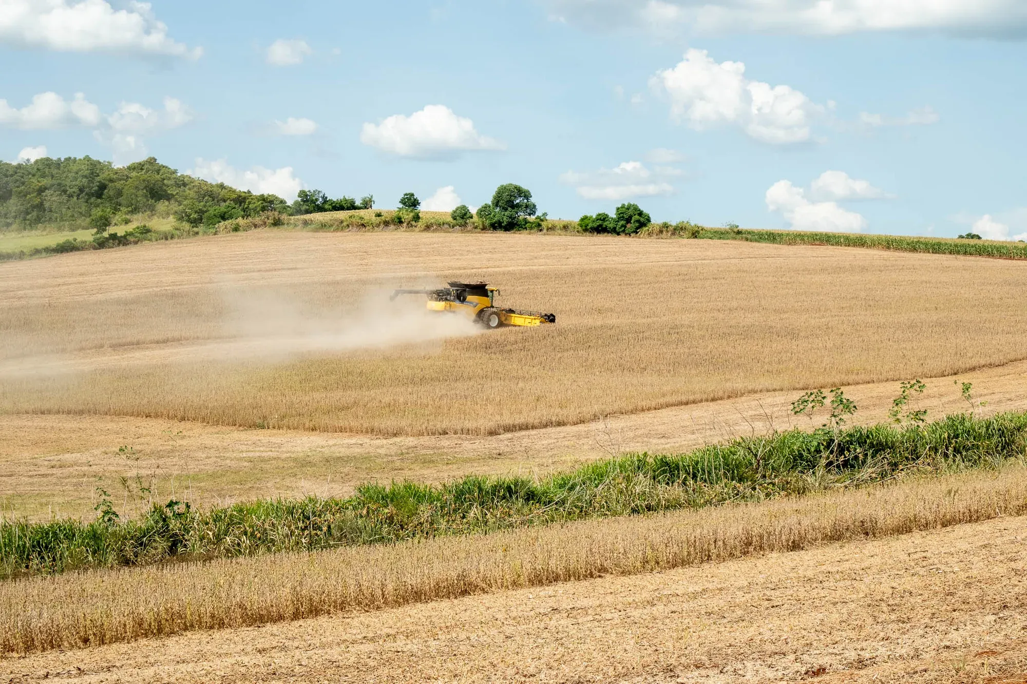 Ponto Rural - Vídeo Institucional — peça do case